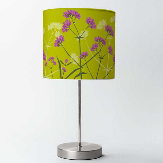 Verbena bonariensis lampshade