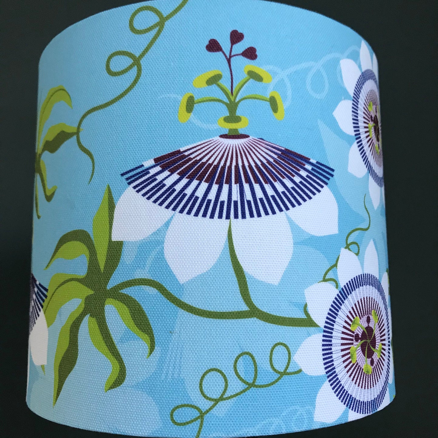 Passiflora lampshade