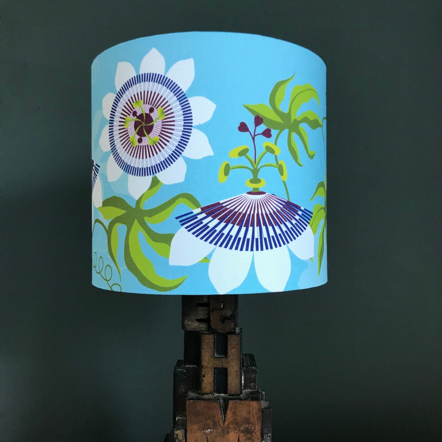 Passiflora lampshade