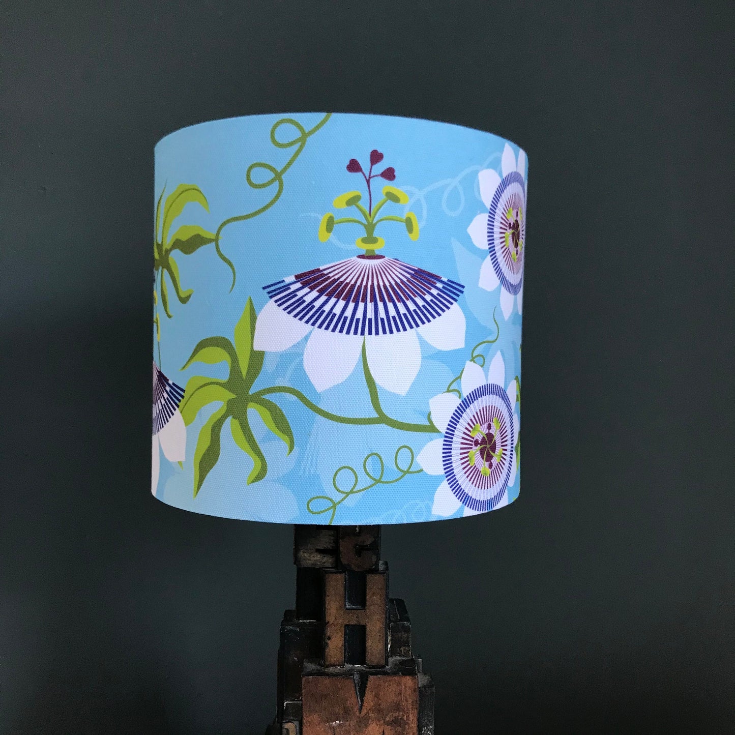 Passiflora lampshade