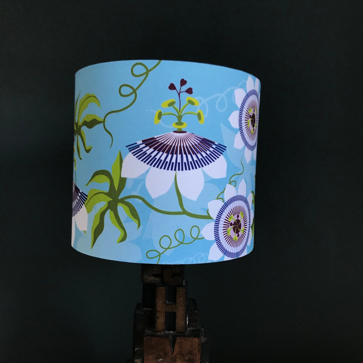 Passiflora lampshade