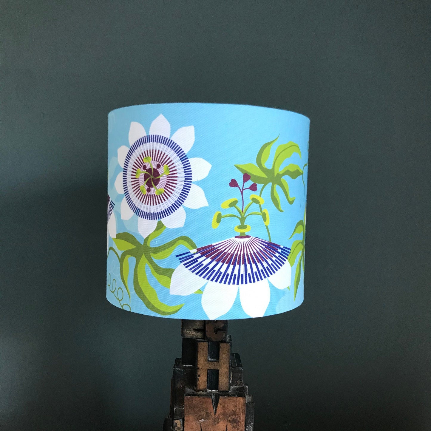 Passiflora lampshade