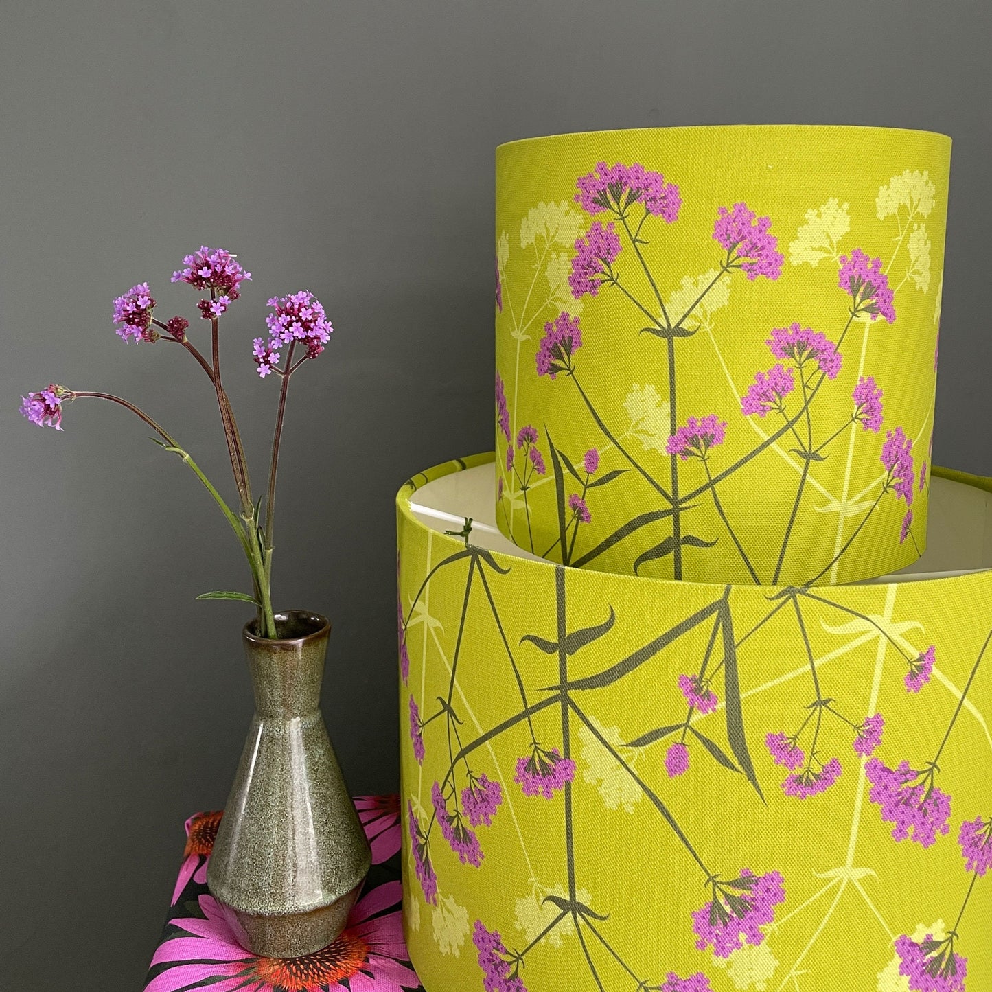 Verbena bonariensis lampshade