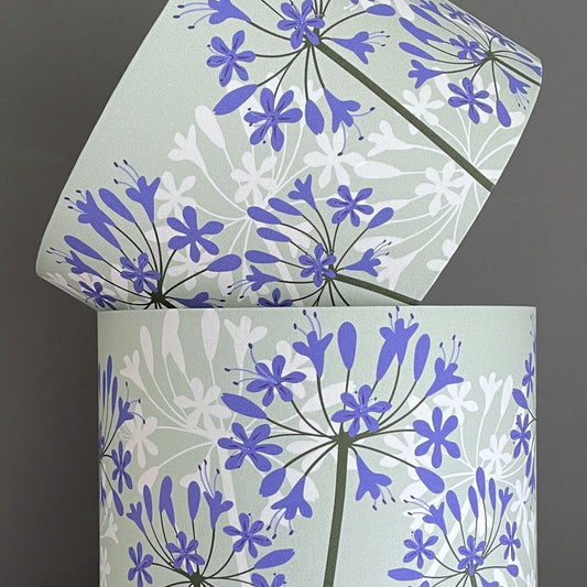 Agapanthus lampshade