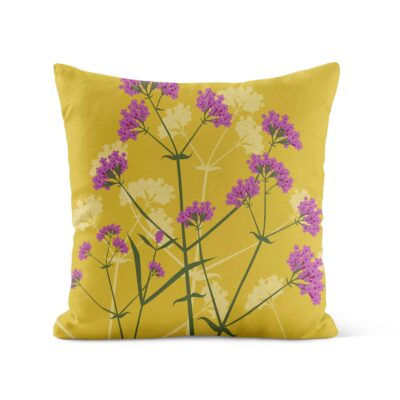 Verbena bonariensis Mustard cushion